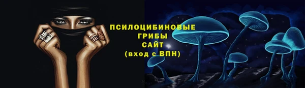 прущие грибы Ахтубинск